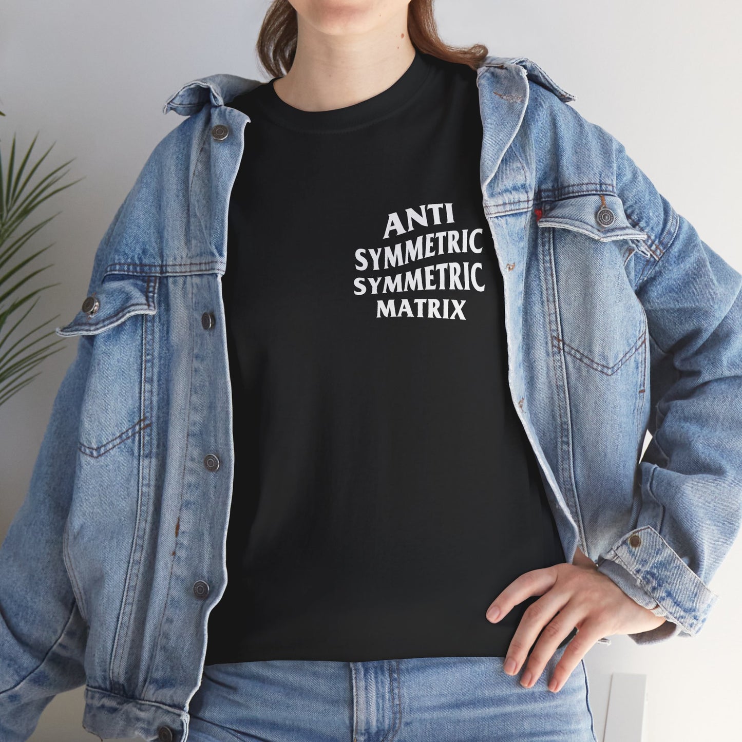 Anti Symmetric Symmetric Matrix